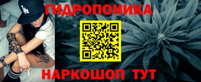 прущие крисы Краснознаменск