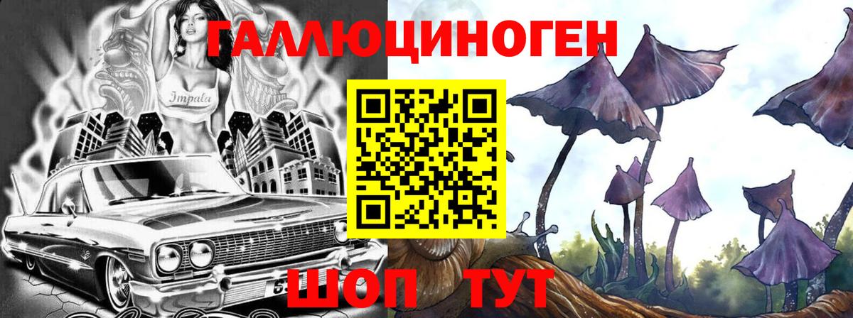 Йошкар-Ола  Псилоцибиновые грибы GOLDEN TEACHER  Вход с VPN  Галлюциногенные грибы MAGIC MUSHROOMS 